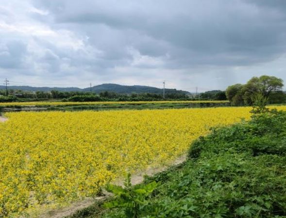 숨겨진 나들이 명소, 청주시농업기술센터