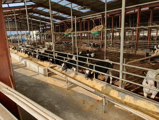 남원시, 축산농가 사료구매자금 75억 확보