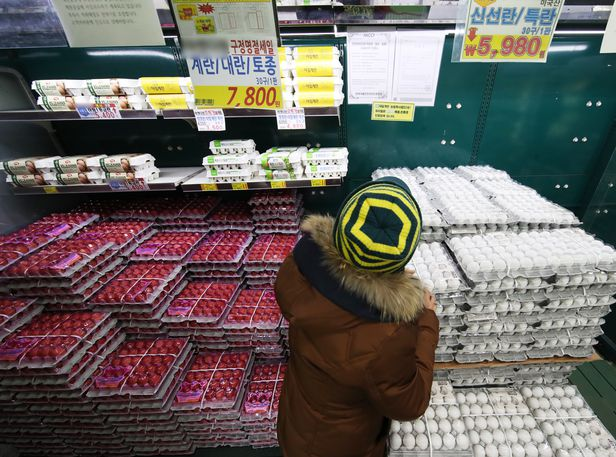 국산 계란(왼쪽)과 흰색의 미국산 계란(오른쪽) /연합뉴스