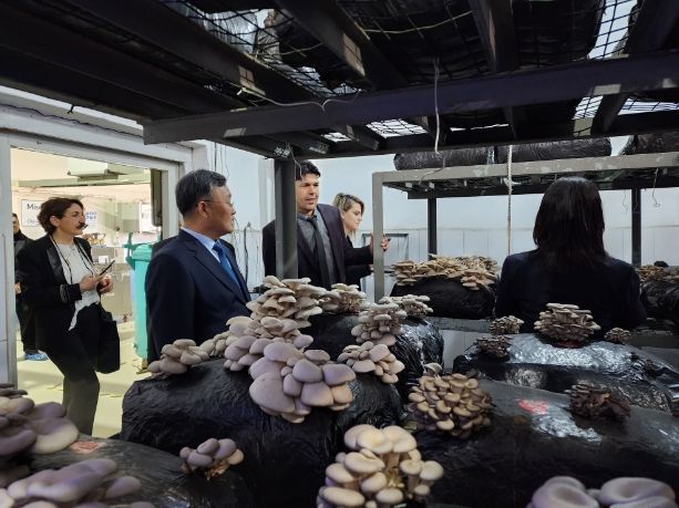 과수선진국글로벌협력박차(튀르키예)