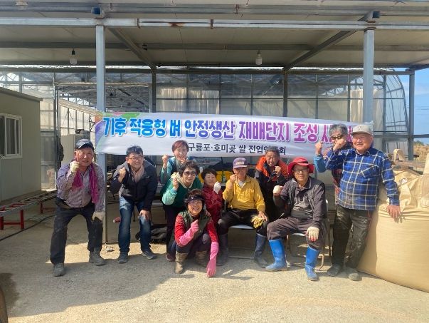 포항시는 기후 적응형 벼 안정생산 재배단지 조성 시범사업을 추진한다.