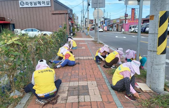 정읍시, 노인일자리사업 농번기 동안 탄력적으로 운영