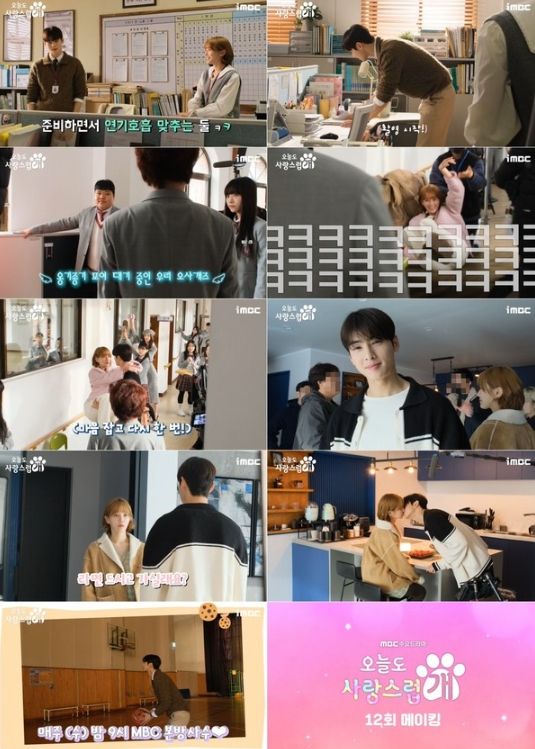 사진 제공: MBC 수요드라마 '오늘도 사랑스럽개'