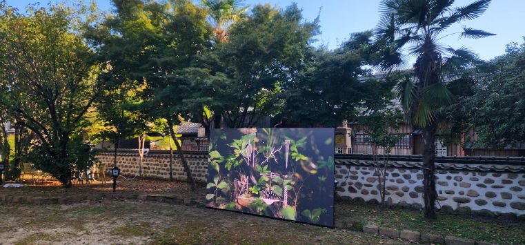 광양 서울대학교 남부연습림 관사...빛의 캔버스로 변신 - 관광과(서울대학교 남부연습림 관사에 설치된 고휘 작가의 ‘사라지는~