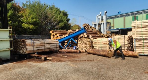 양산시, 2025년 가을철 소나무류 이동 특별단속 실시