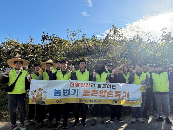 지역특산물 ‘진영단감’ 수확 지원