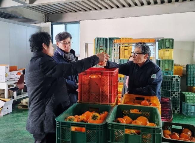 진병영 함양군수 ‘서하 곶감’ 생산 농가 방문 및 격려