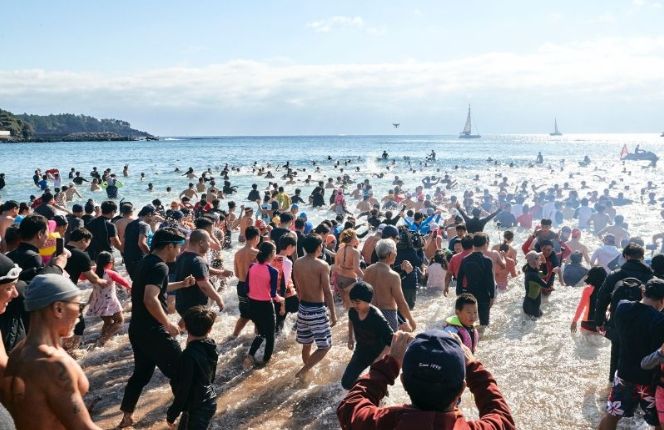국제펭귄수영대회