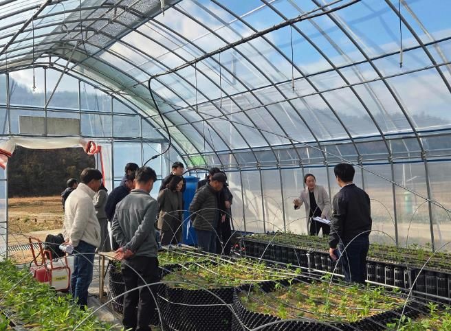 진도군, ‘지초 시범사업 결과평가회’… 지초 재배 기술 향상