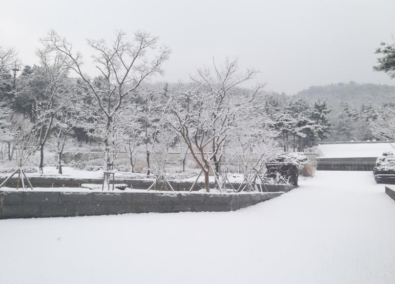 수목원의 설경