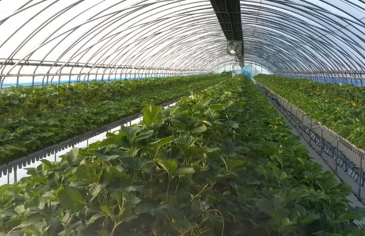 순창군, 친환경농산물 생산장려금 등 24억 8천만원 지급