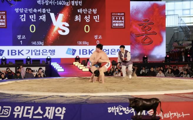 지난해 태안에서 열린 2025년 설날장사 씨름대회 경기 장면