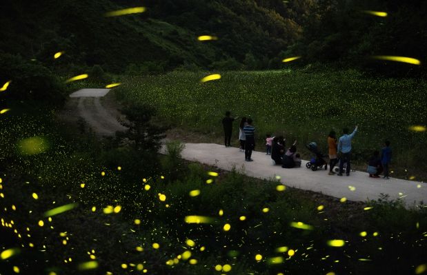 무주군, 2026년 지방소멸대응기금 80억 원 확보 행정안전부 평가 결과, A등급 달성