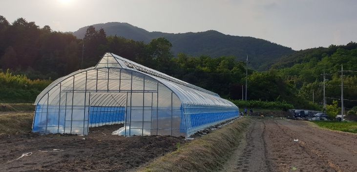 보조사업으로 설치된 비닐하우스