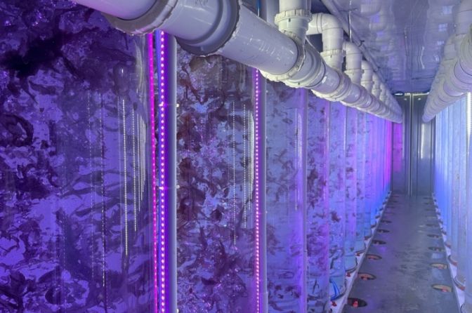 사업 우수기업_브이에스신비