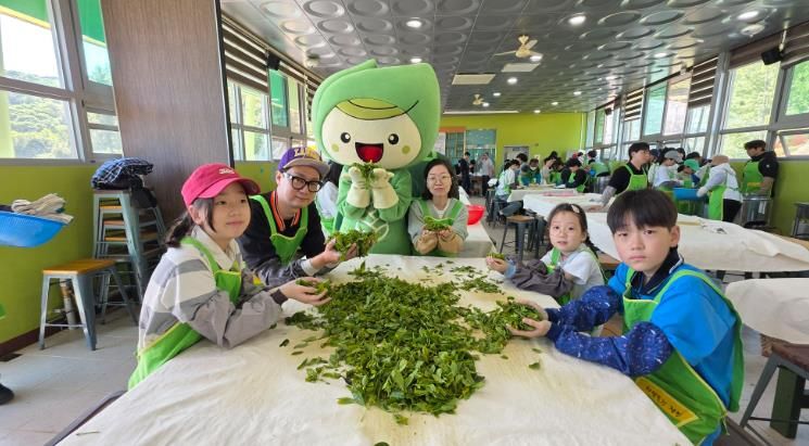 보성다향대축제! 문화관광축제 연속 지정 · 전남 대표 ‘우수축제’ 선정_제48회 보성다향대축제(2025)