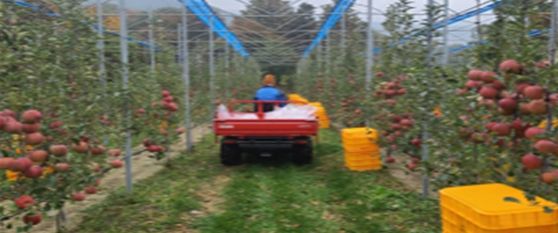 평면형 과원 전경