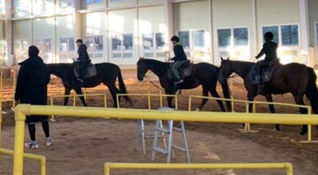 중구, 2026년 붉은 말의 해 학생승마체험 지원사업 참여자 모집