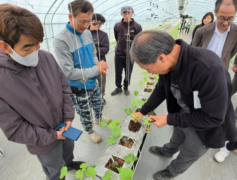 농업기술센터, ‘수경멜론 찾아가는 현장 컨설팅’
