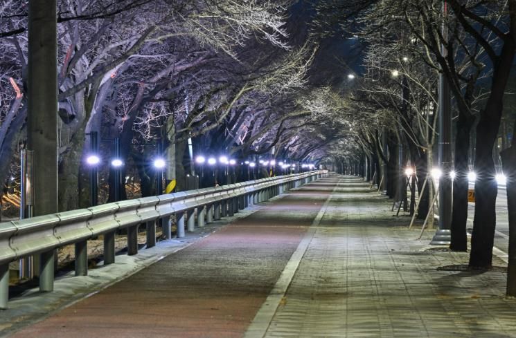 원당천 야간경관 개선공사를 완료했다