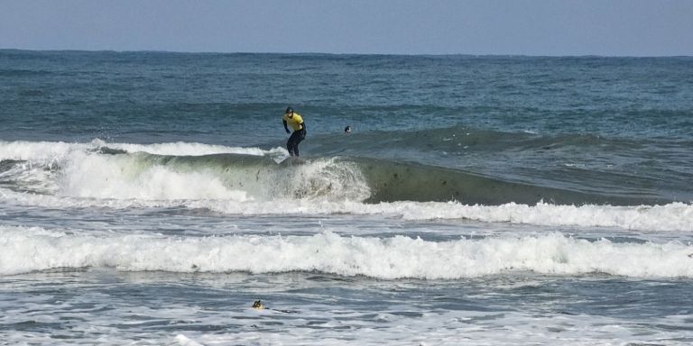 지난해 메이어스컵 서핑 챔피언십 대회