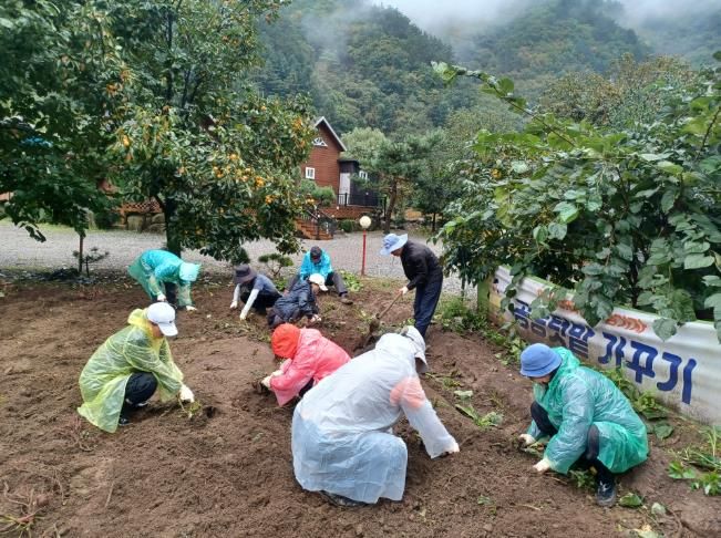 2025년 양양에서 살아보기