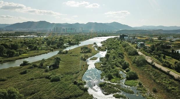 대구 동구청은 기후위기를 살아갈 미래 세대를 위해 안심습지에서 탄소중립 생태체험 학습을 운영한다. 안심습지 전경사진