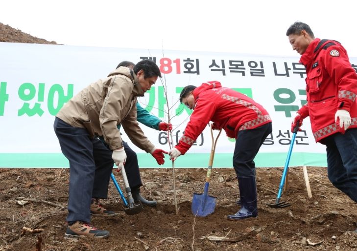 횡성군, 제81회 식목일 기념 ‘자작나무 숲’조성
