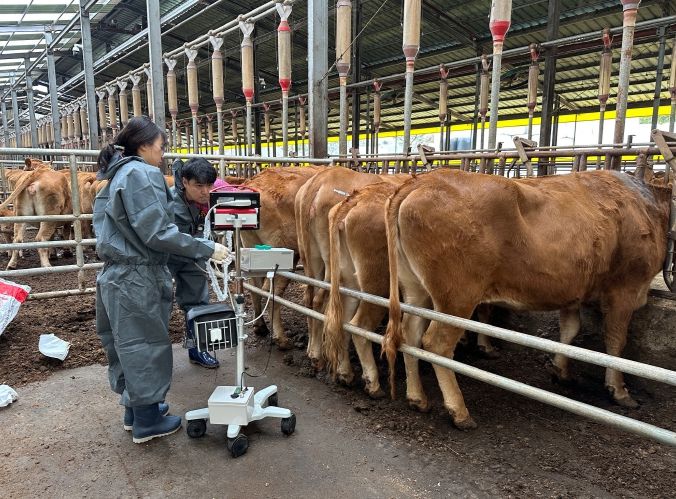한우 개량지원사업 전국 평가 1위