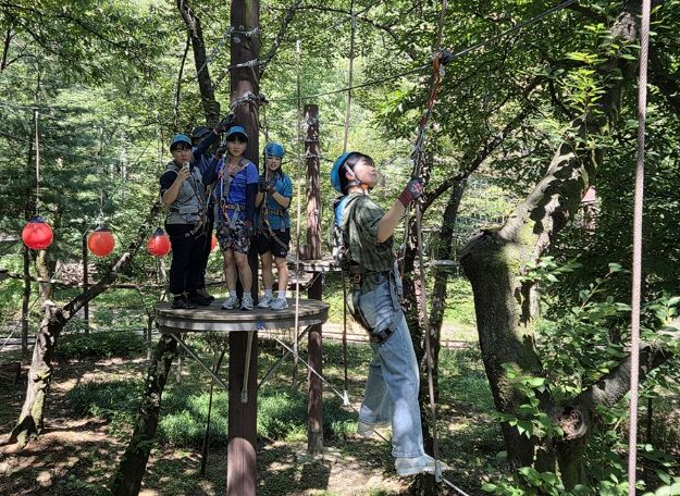 지난해 관악산 모험숲에 참여한 청소년이 공중 모험 코스를 체험하고 있다