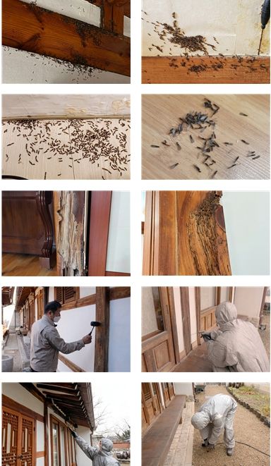 2026년 한옥 흰개미 방제사업