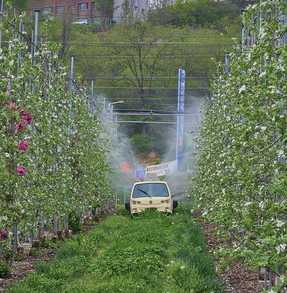안동시, 과수화상병 ‘개화기 적기 방제’ 총력